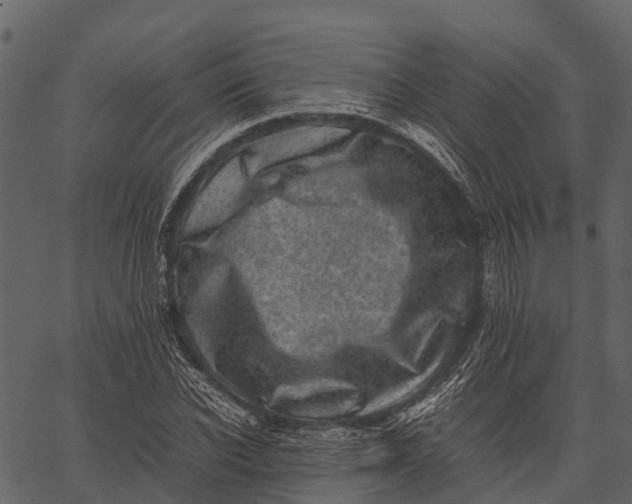 X0000062630926200601111056