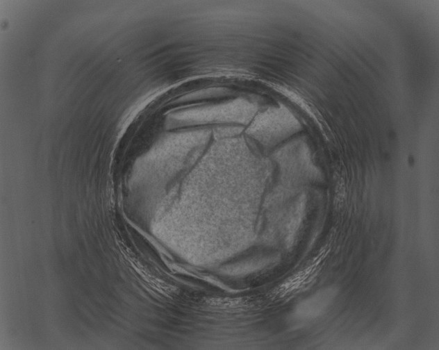 X0000062630927200601111056