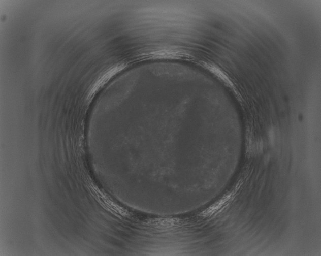 X0000062630930200601111056