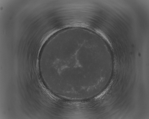 X0000062630932200601111056