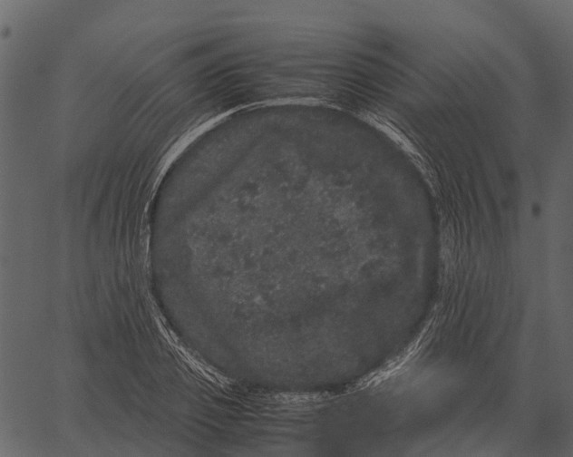 X0000062630933200601111056