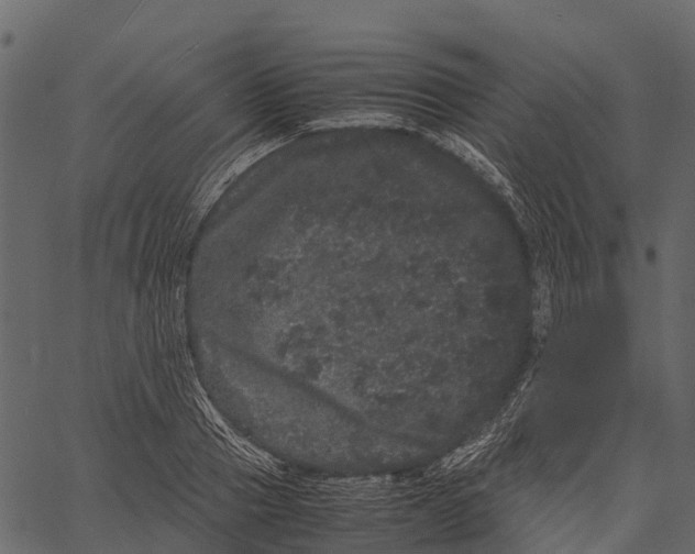 X0000062630937200601111056