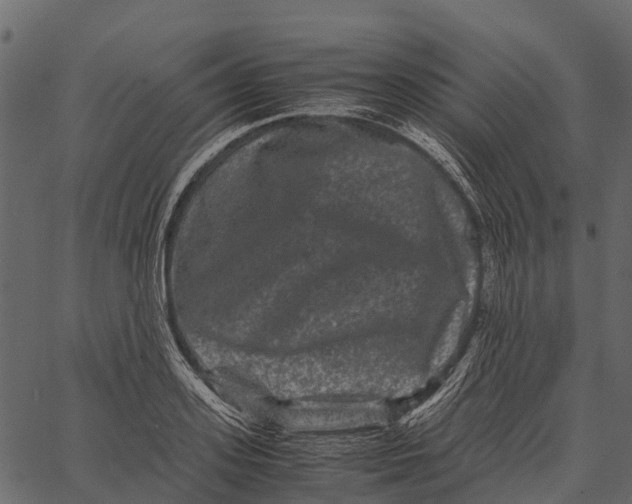 X0000062630939200601111056