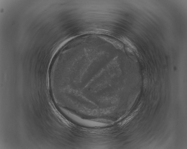 X0000062630940200601111056