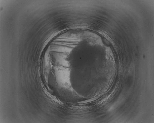 X0000062630941200601111056