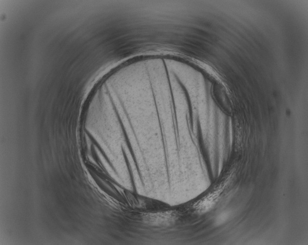 X0000062630943200601111056