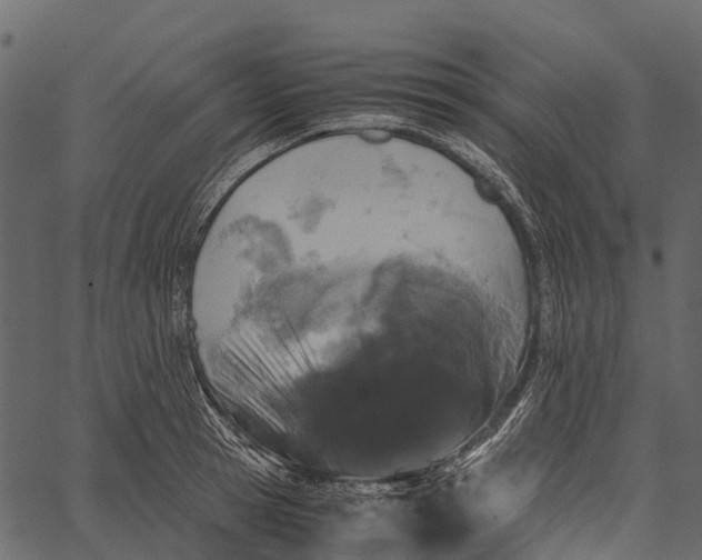 X0000062630945200601111056