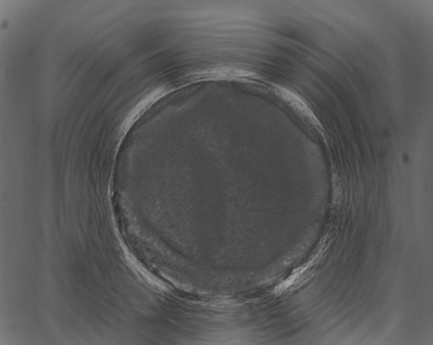 X0000062630946200601111056