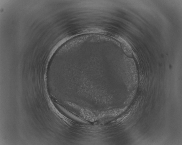 X0000062630947200601111056