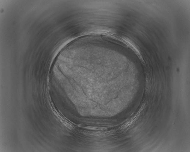 X0000062630948200601111056