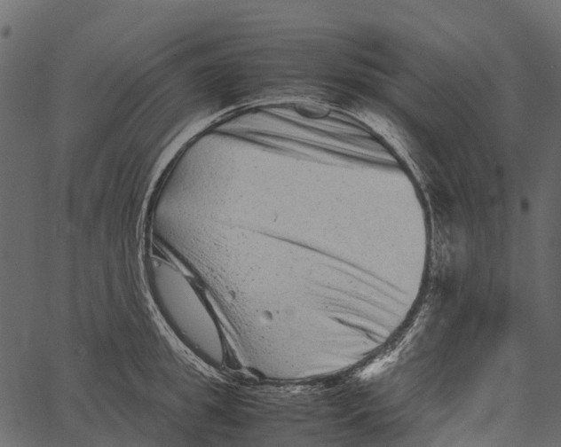 X0000062630949200601111056