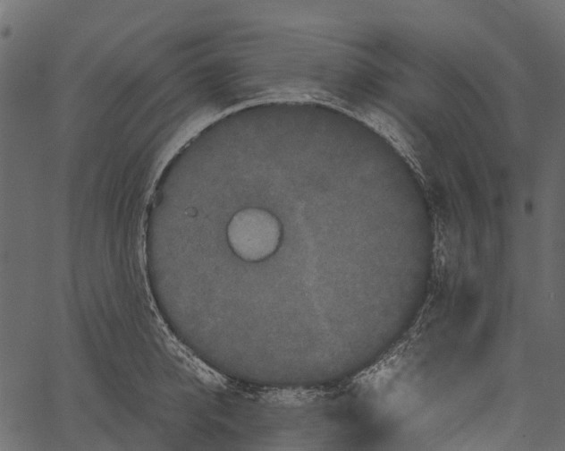 X0000062630950200601111056