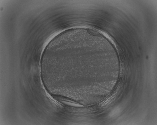 X0000062630951200601111056