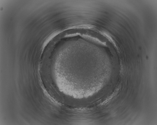 X0000062630952200601111056