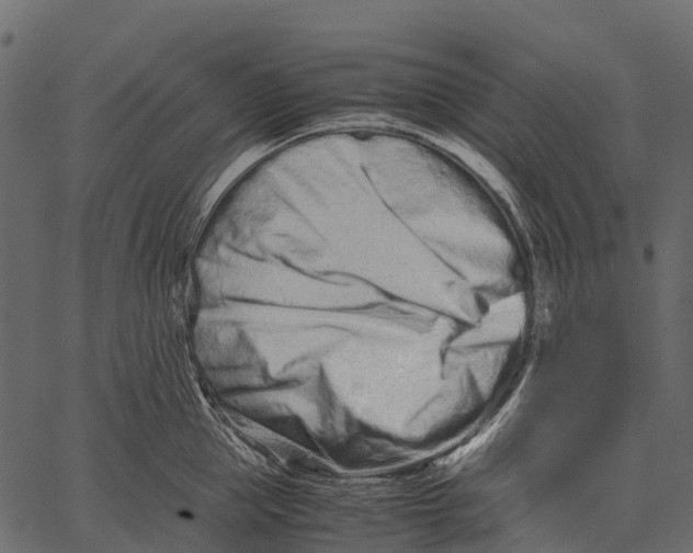 X0000062630953200601111056