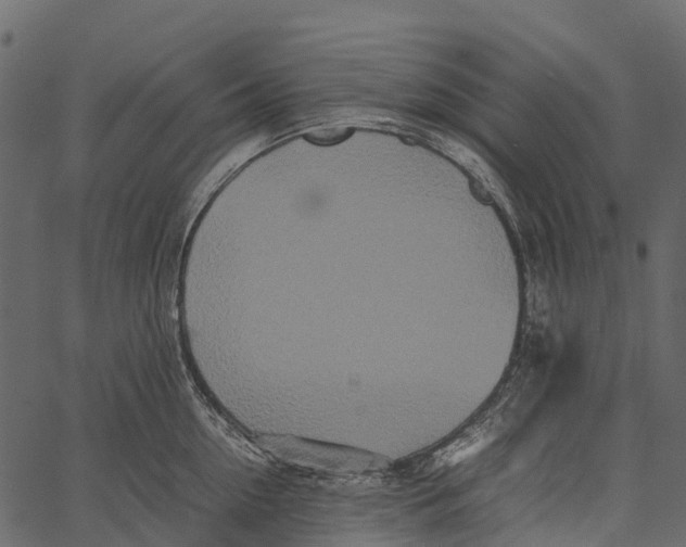 X0000062630954200601111056