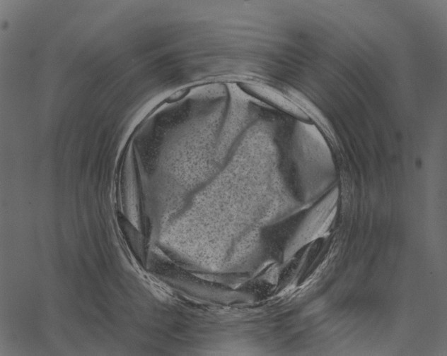 X0000062630956200601111056