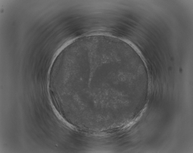 X0000062630957200601111057