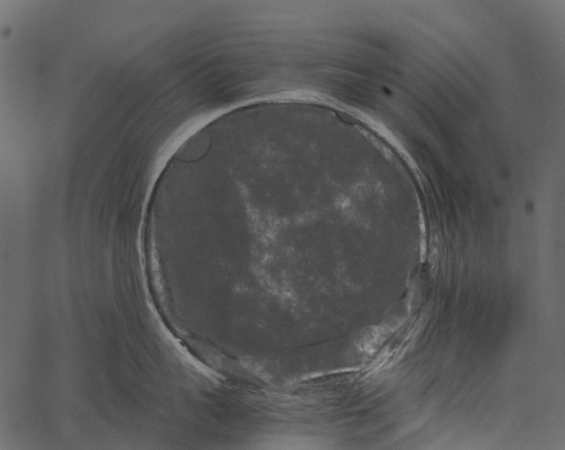 X0000062630959200601111057