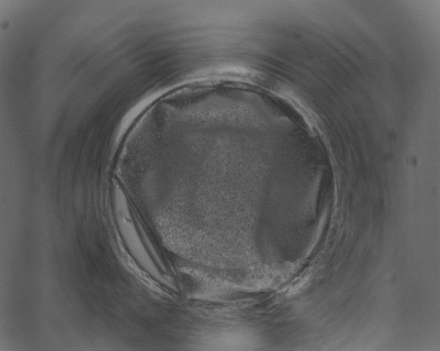 X0000062630960200601111057