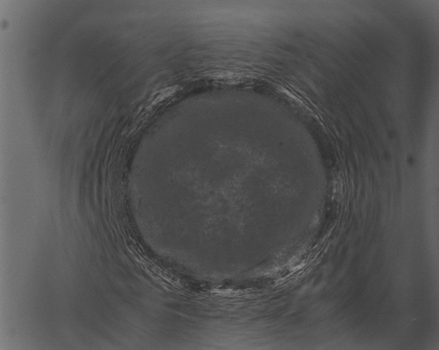 X0000062630961200601111056