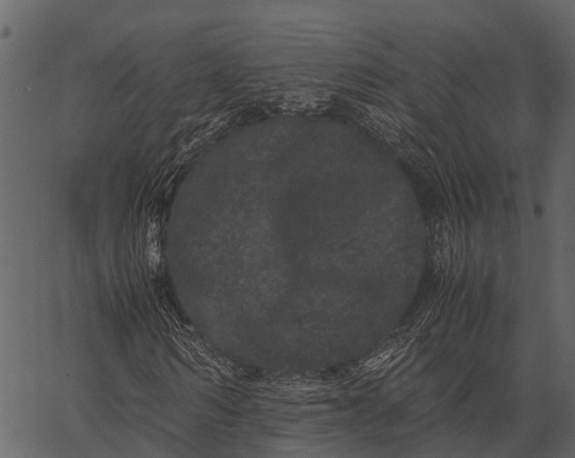 X0000062630962200601111056