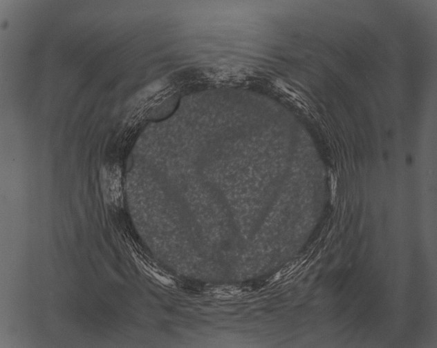 X0000062630963200601111056