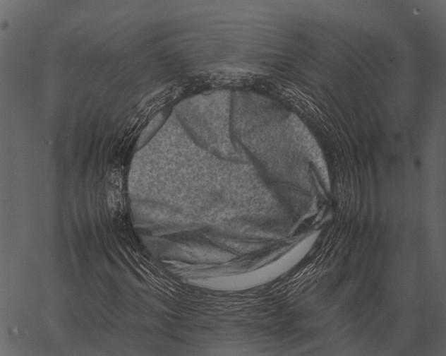 X0000062630964200601111056