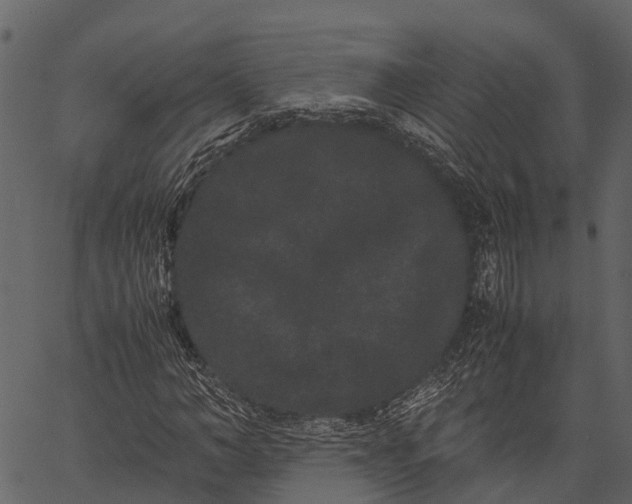 X0000062630966200601111056