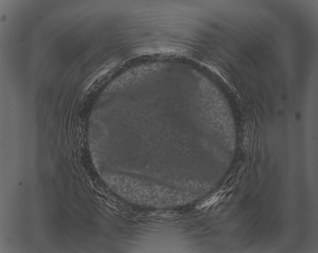 X0000062630967200601111056