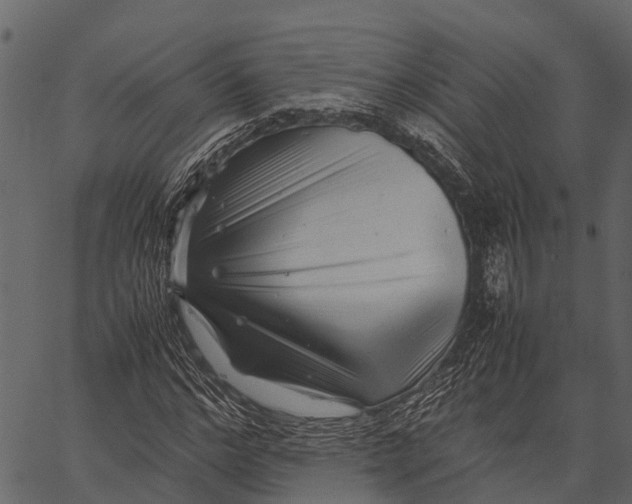 X0000062630968200601111056