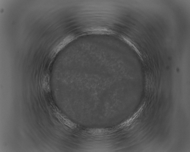 X0000062630970200601111056