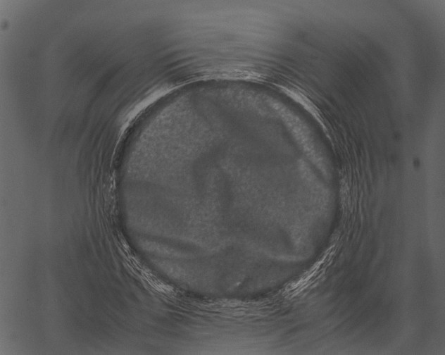 X0000062630971200601111056