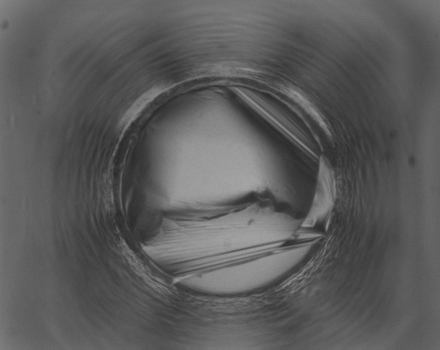 X0000062630972200601111056