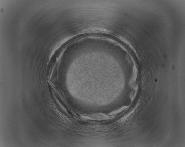 X0000062630973200601111056