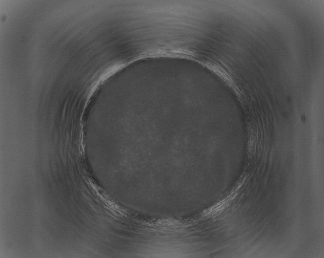 X0000062630974200601111056