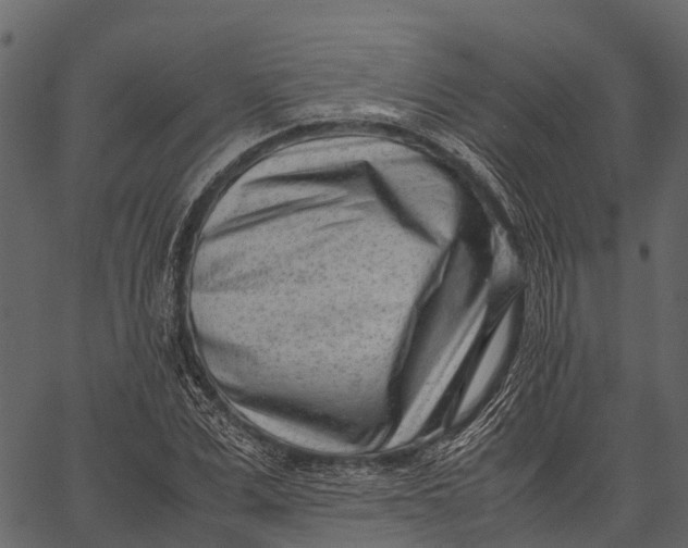 X0000062630975200601111056