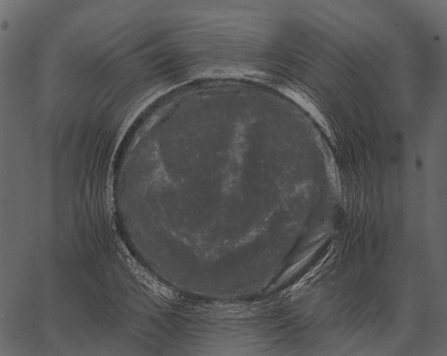 X0000062630976200601111056