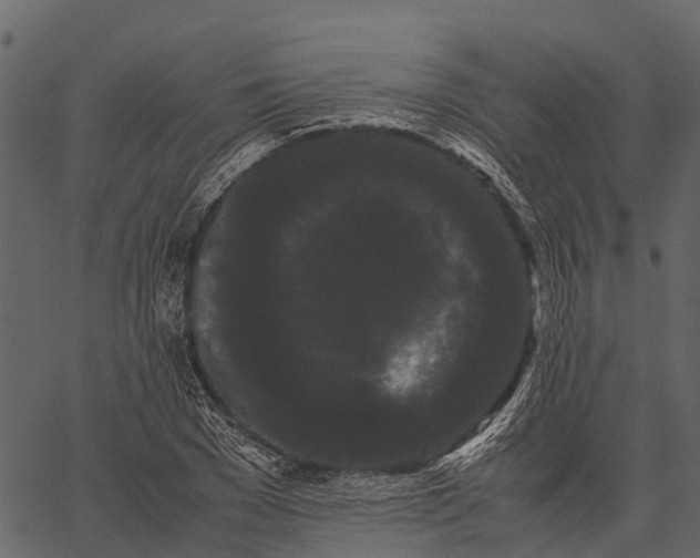 X0000062630977200601111055