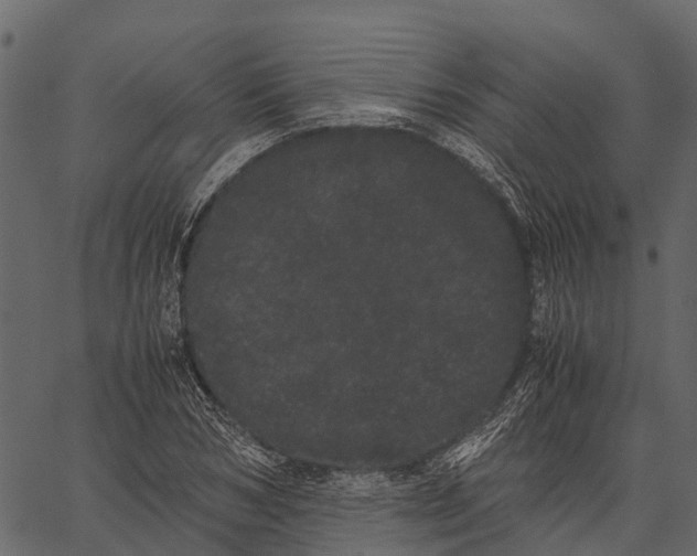 X0000062630978200601111055