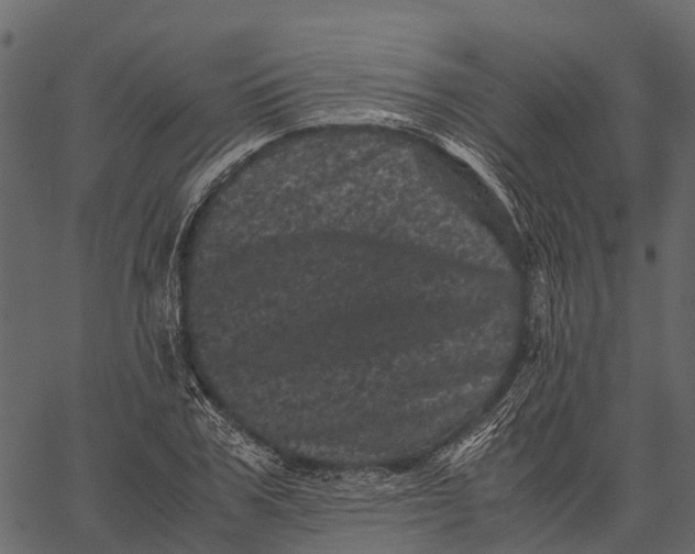 X0000062630979200601111055