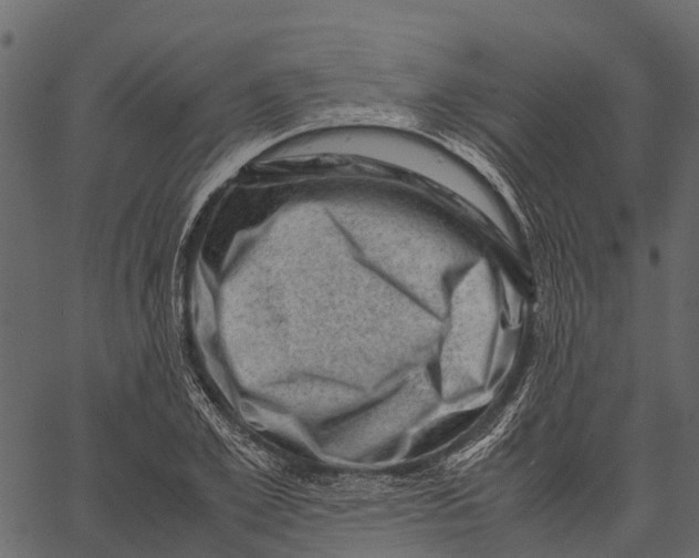 X0000062630981200601111055