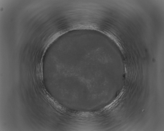 X0000062630982200601111055