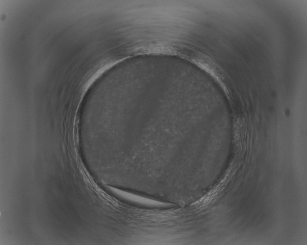 X0000062630983200601111055