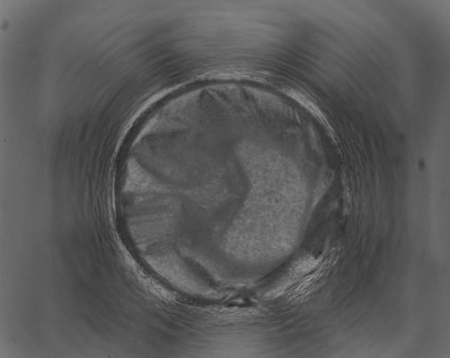 X0000062630984200601111055