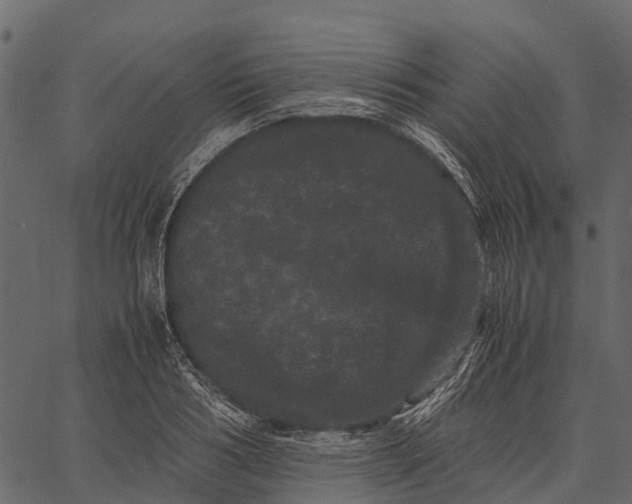 X0000062630986200601111055