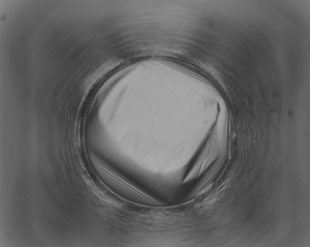 X0000062630987200601111055