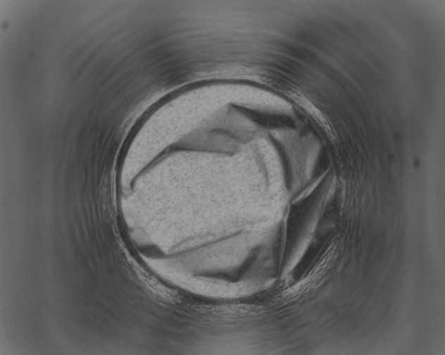 X0000062630988200601111055