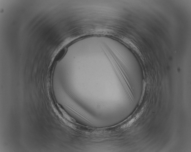 X0000062630989200601111055