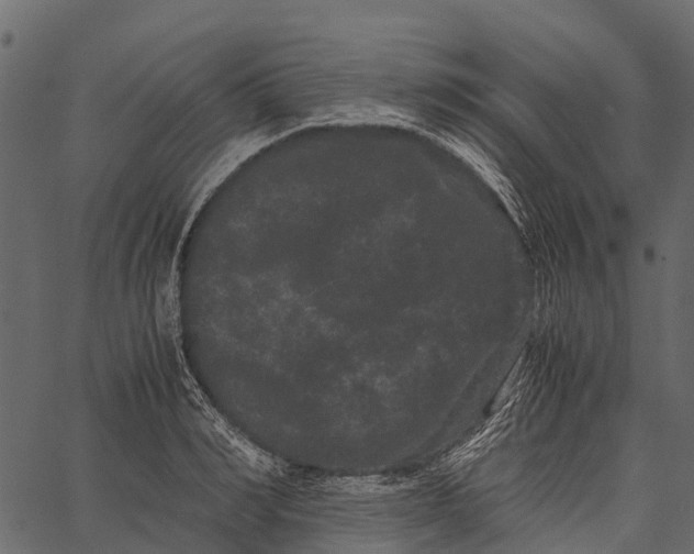 X0000062630990200601111055